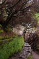 422_Madera_Levada das 25 Fontes
